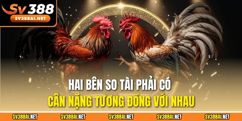 Hai bên so tài phải có cân nặng tương đồng với nhau