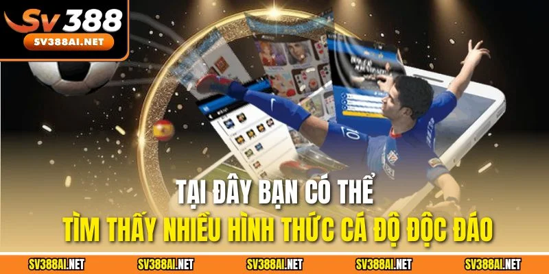 Tại đây bạn có thể tìm thấy nhiều hình thức cá độ độc đáo