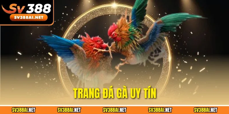 Trang Đá Gà Uy Tín SV388 - Địa Chỉ Vàng Cho Hội Viên Chuyên Nghiệp