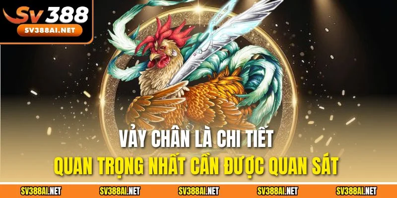 Vảy chân là chi tiết quan trọng nhất cần được quan sát Vảy chân là chi tiết quan trọng nhất cần được quan sát